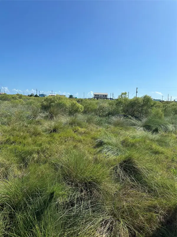 15388 Titanic Burgs, Sargent, TX 77414