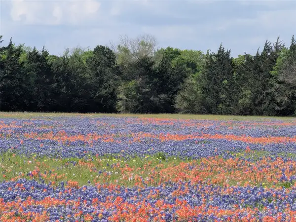 0010 Fm 2562 Road, Anderson, TX 77830