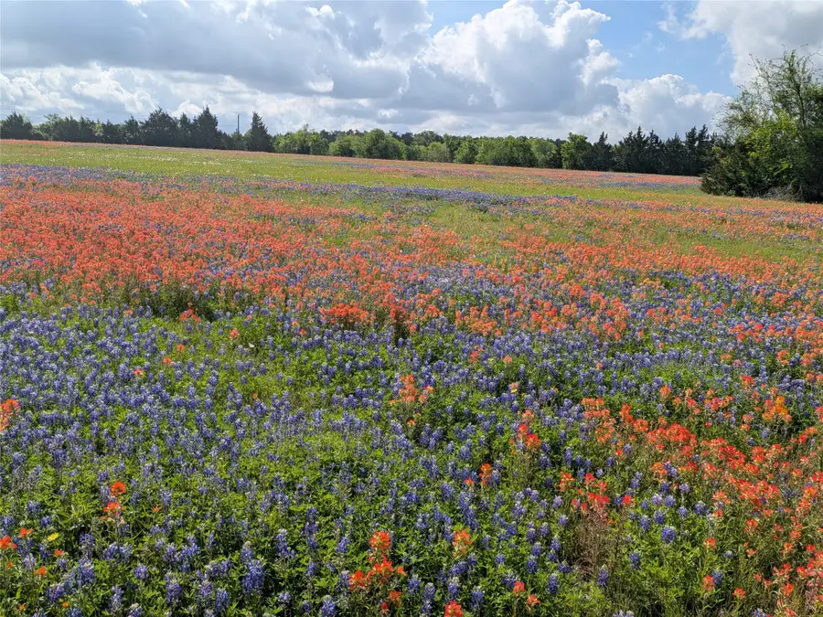 0010 Fm 2562 Road, Anderson, TX 77830 - #2