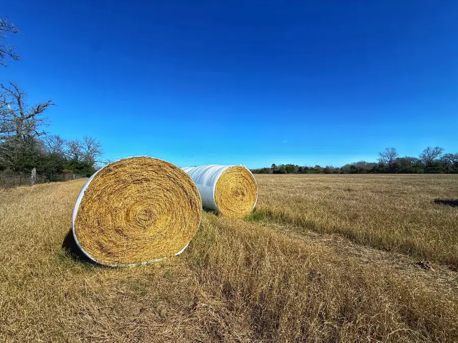 3763 Cr 490, Normangee, TX 77871 - Image #2