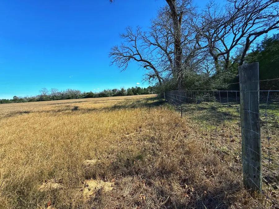 3763 Cr 490, Normangee, TX 77871 - Image #3
