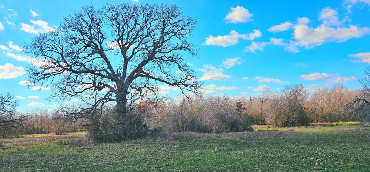 tbd Davis Road, Huntsville, TX 77320 - Image #1