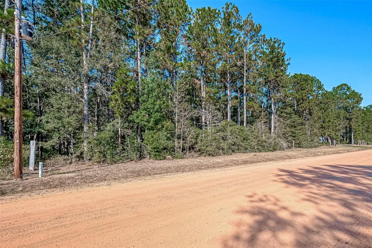 0 Oak Ridge Street, Cleveland, TX 77328 - Image #1