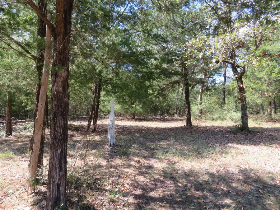 TBD Fcr 257, Fairfield, TX 75840 - #2
