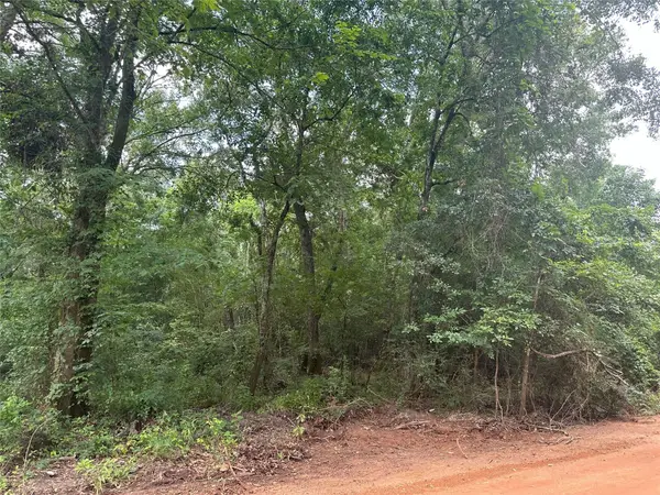 0 Foxfire Drive, Plantersville, TX 77363