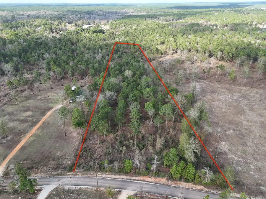 TBD Hanson Road, Onalaska, TX 77360 - Image #3