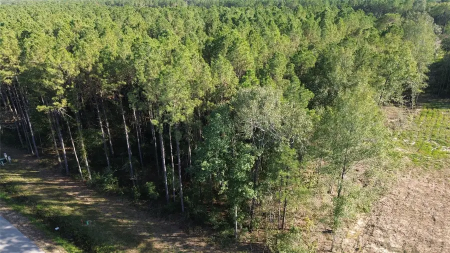 1683 Road 66115, Dayton, TX 77535 - #3