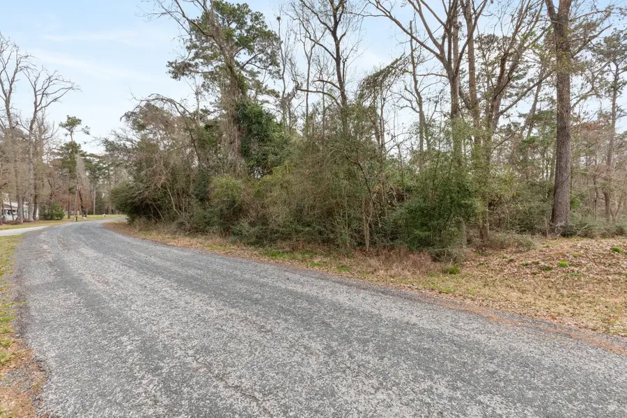 Lot 46 Sunset Drive, Livingston, TX 77351 - #3