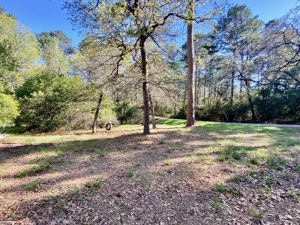 361 Beaver Run, Grapeland, TX 75844 - #1