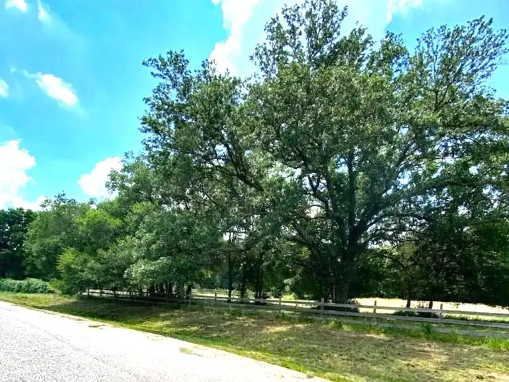 9 Live Oak Trail, Cypress, TX 77429 - #1