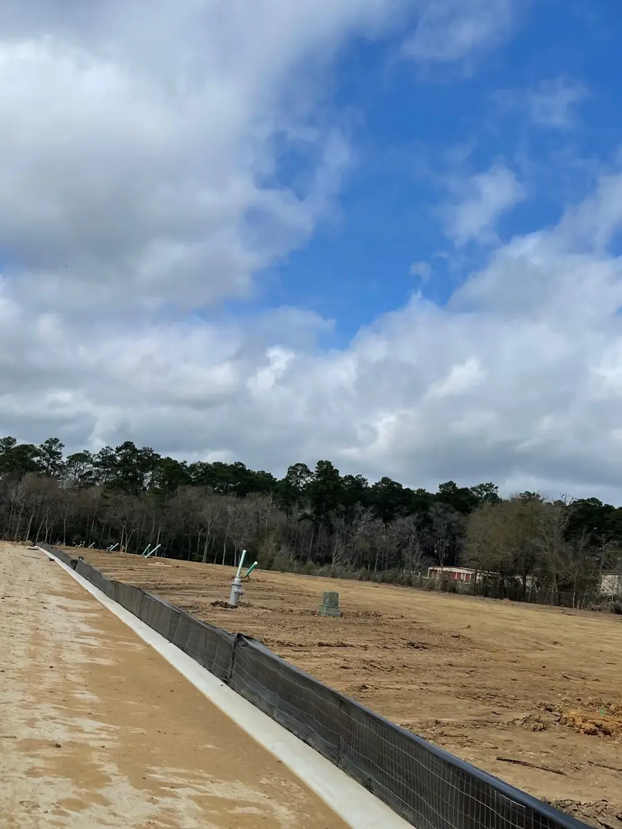 11639 Ruffian Drive, Willis, TX 77318 - Image #3