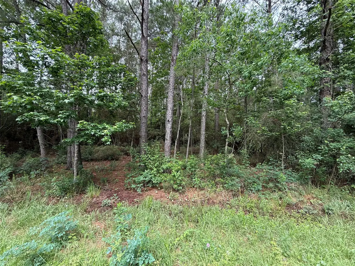 281 County Road 2316, Dayton, TX 77535 - #1