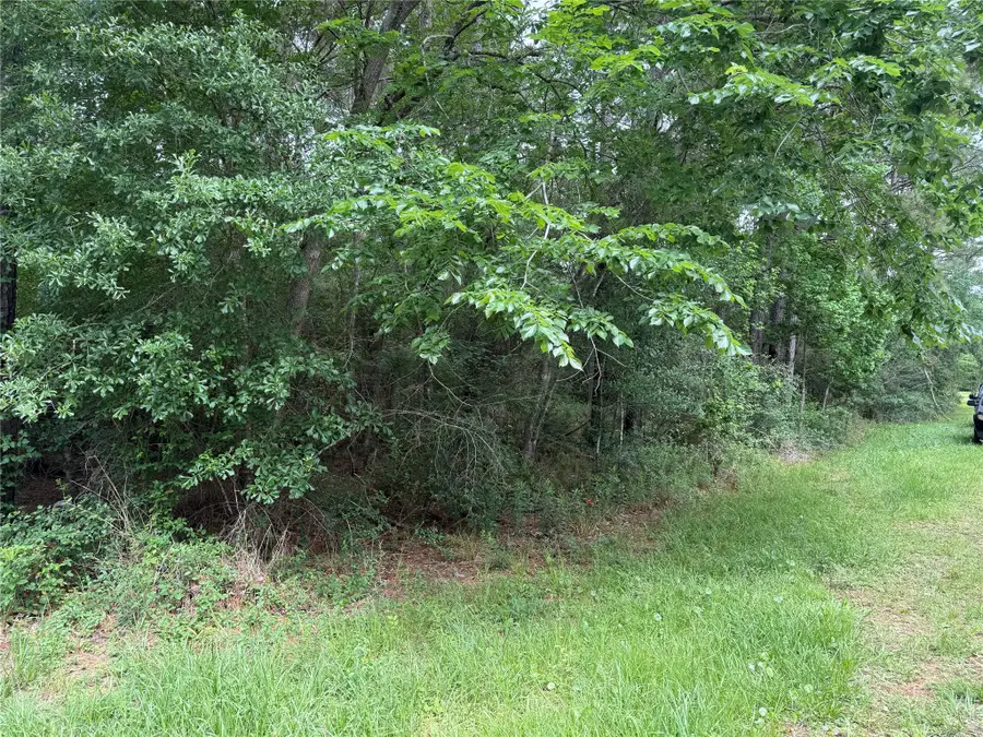 281 County Road 2316, Dayton, TX 77535 - #2