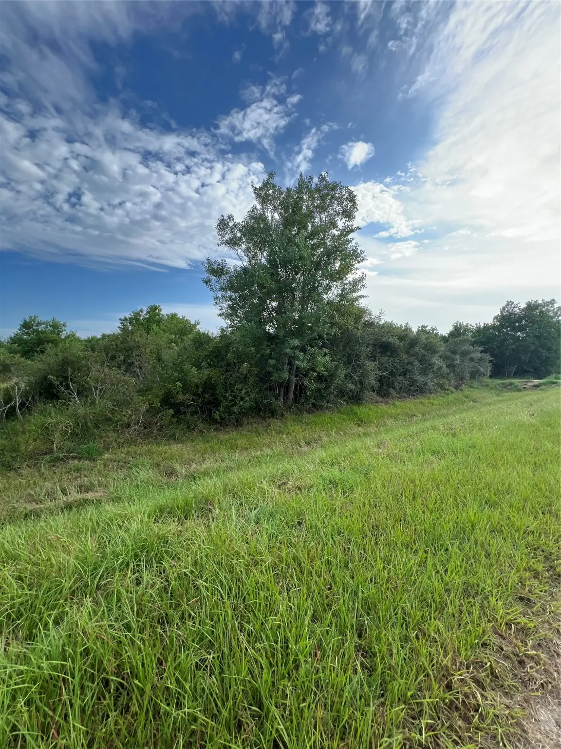 000 County Road 246 West Avenue, Bay City, TX 77457 - Image #1