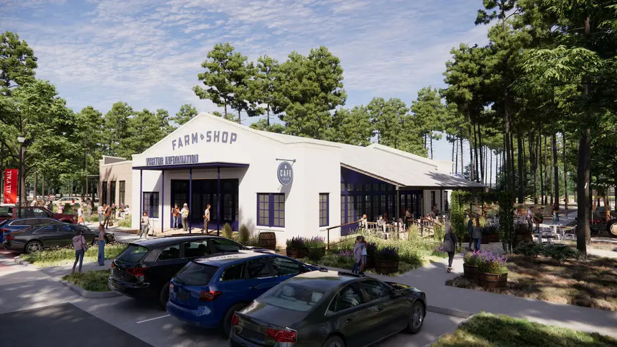 9053 Babbling Brook Drive, Montgomery, TX 77316 - Image #3