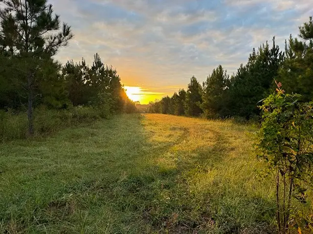 00 Midway Loop, Livingston, TX 77351 - #1