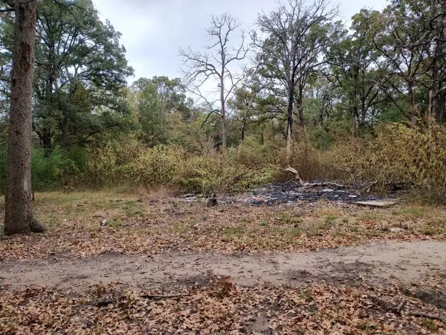 9411 Pinewood Drive, Hawk Cove, TX 75474 - Image #3