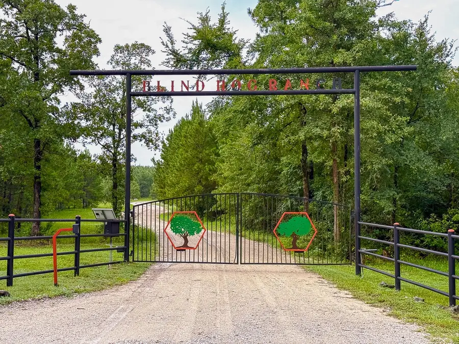 1682 Fm 980, Huntsville, TX 77320 - Image #2