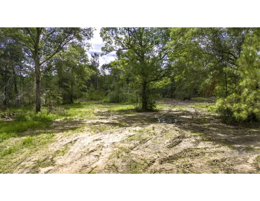 TBD Lot 003 Holland Road, Moscow, TX 75960 - Image #2
