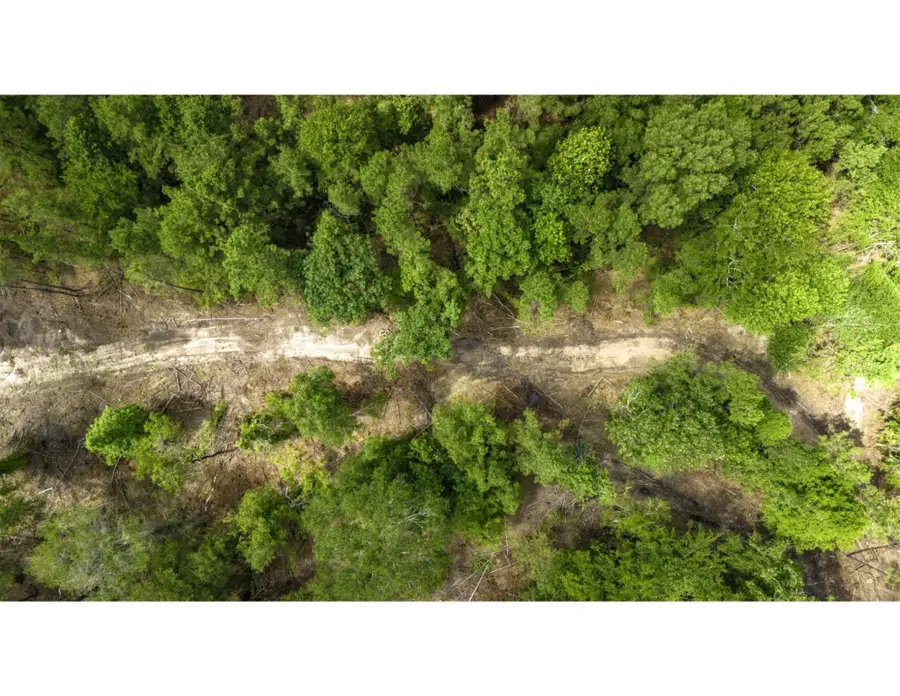 TBD Lot 003 Holland Road, Moscow, TX 75960 - Image #3