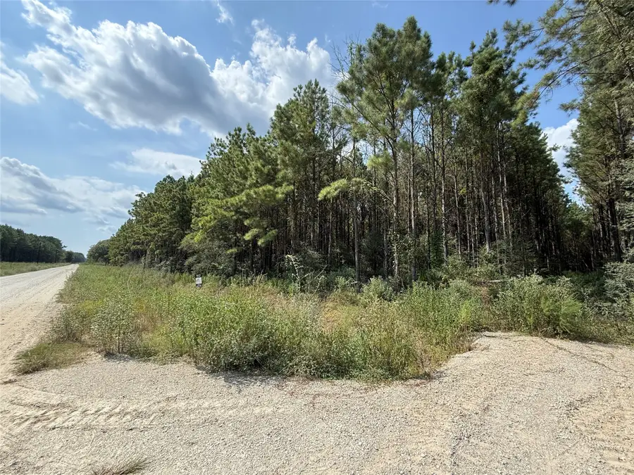 5700 Black Cat Road, Sour Lake, TX 77659 - #2