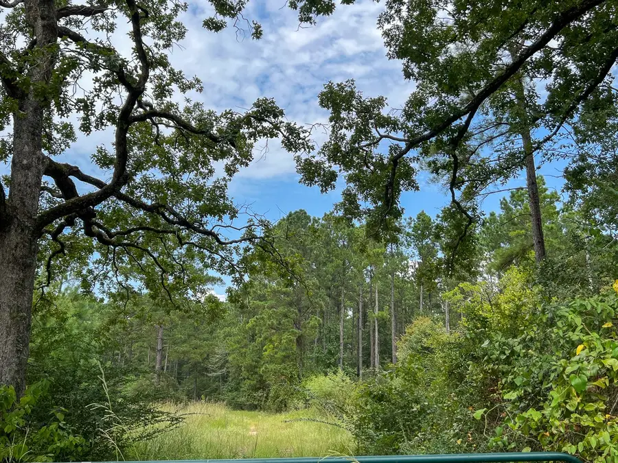 30 Meshell Road, Groveton, TX 75845 - Image #3