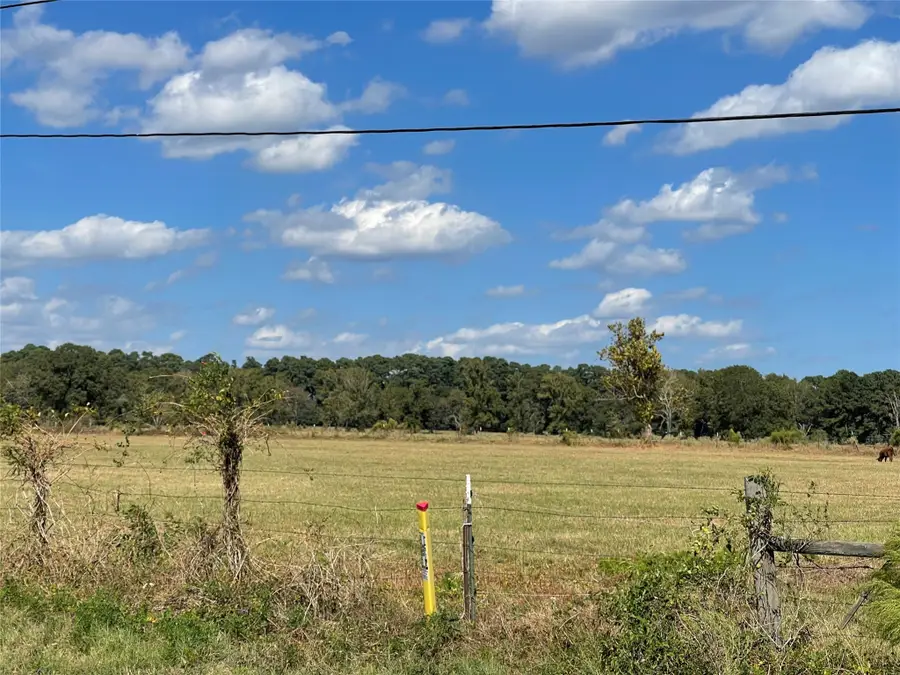 TBT 35.266 ACRES Fm 2854, Montgomery, TX 77356 - #3