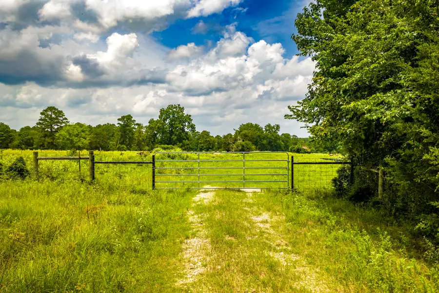 TBD 1375 Road E, New Waverly, TX 77358 - #2