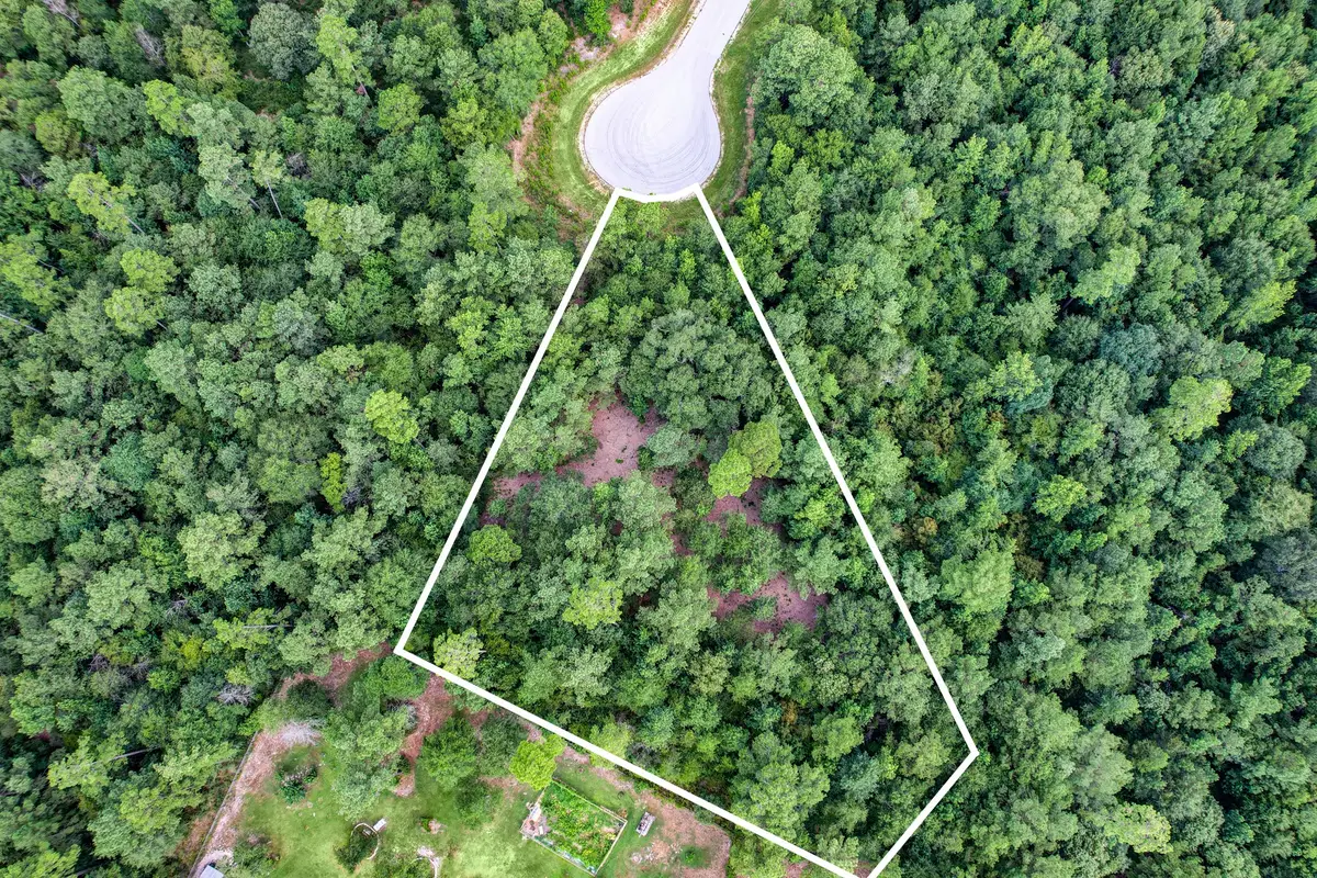 125 Pyrite Court, Huntsville, TX 77340 - Image #1