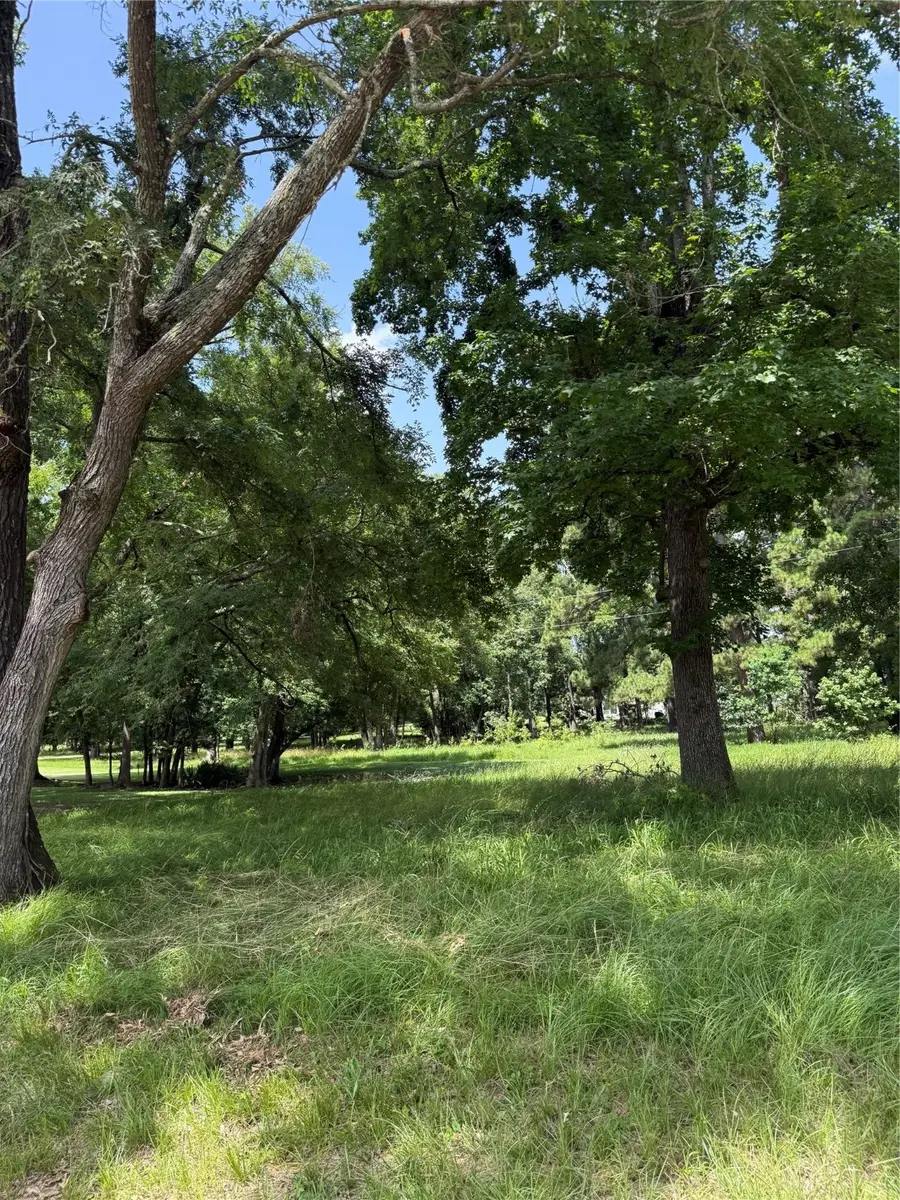 Blk 7 Lot 9 Monticello St Street, Trinity, TX 75862 - Image #2