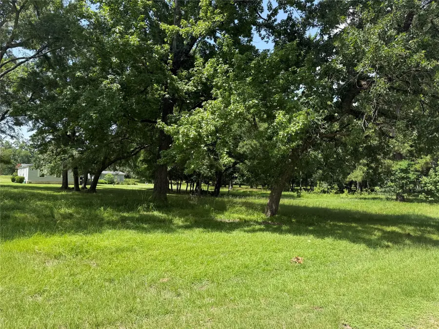 Blk 7 Lot 9 Monticello St Street, Trinity, TX 75862 - Image #3