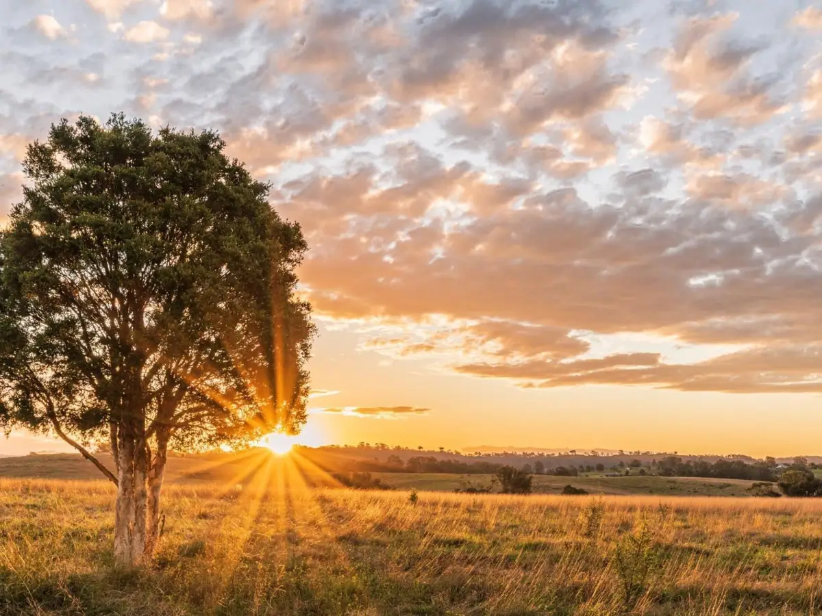 LOT 66 121 Oak Hollow Court, Cat Spring, TX 78933 - Image #1