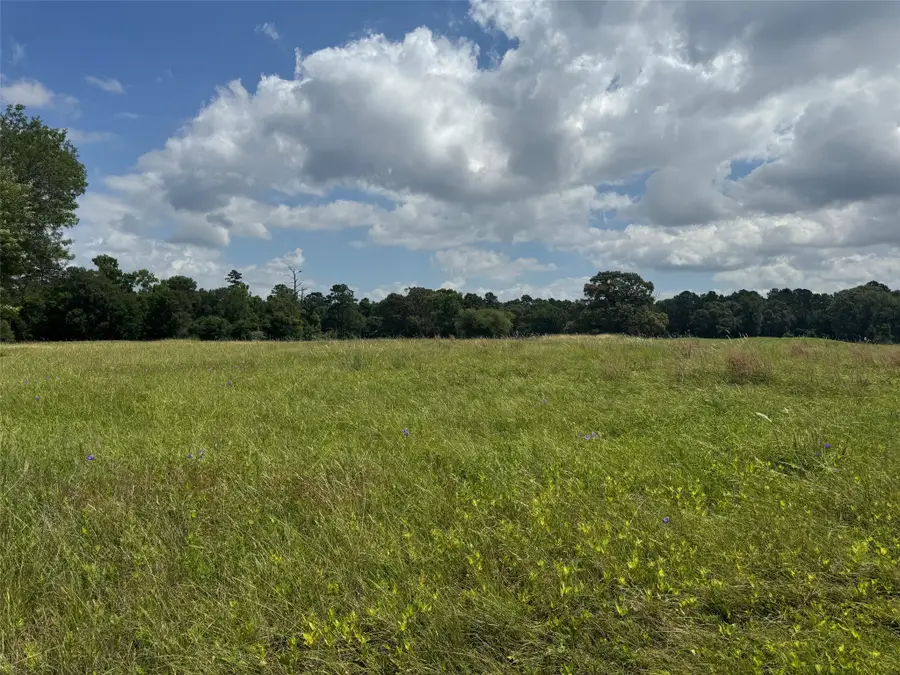 0 Richmond Circle, Trinity, TX 75862 - #3