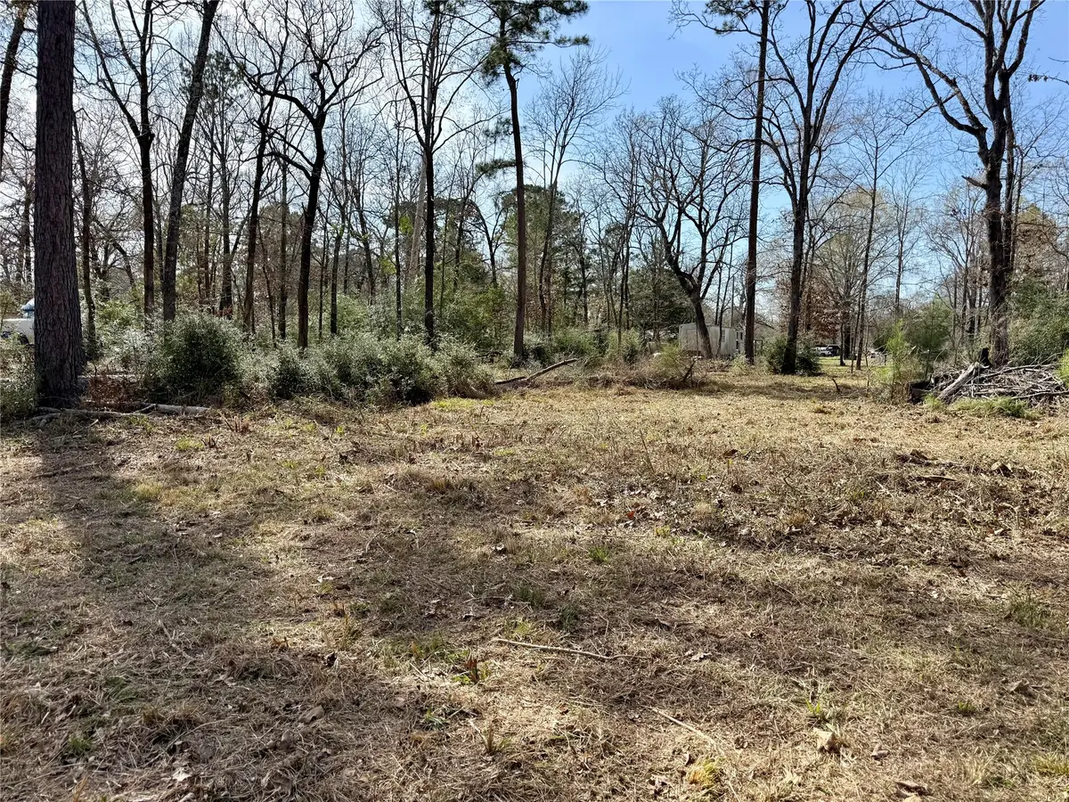 TBD Bugger Bat, Trinity, TX 75862 - #1