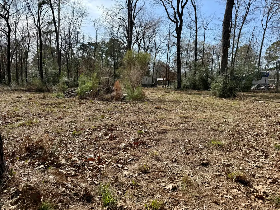 TBD Bugger Bat, Trinity, TX 75862 - #2