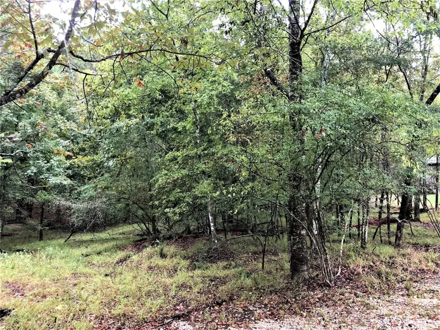 80 S Royale Greens Drive, Coldspring, TX 77331 - Image #3