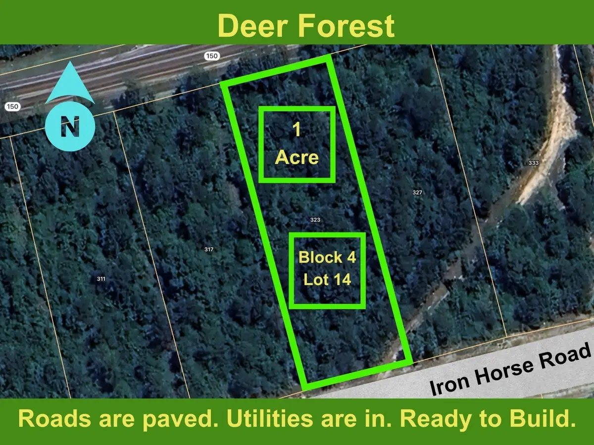 323 Iron Horse Road, Willis, TX 77378 - Image #1