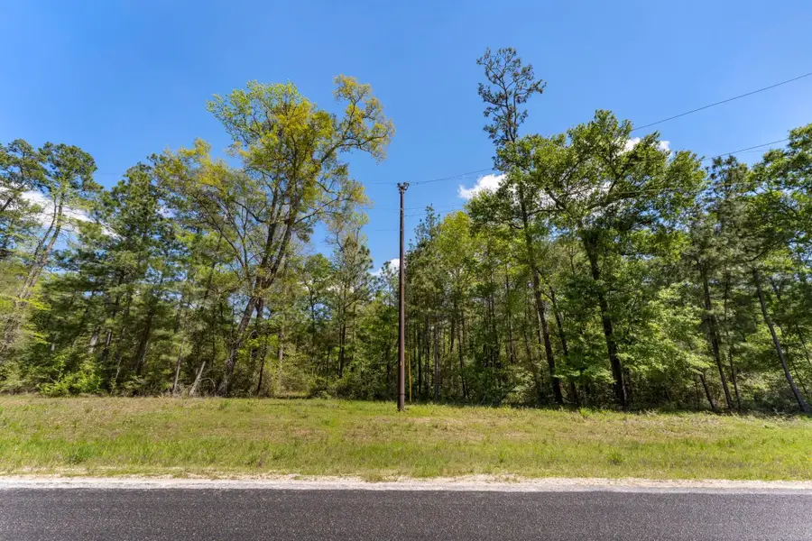 2A Sundog Road, Huntsville, TX 77340 - #2