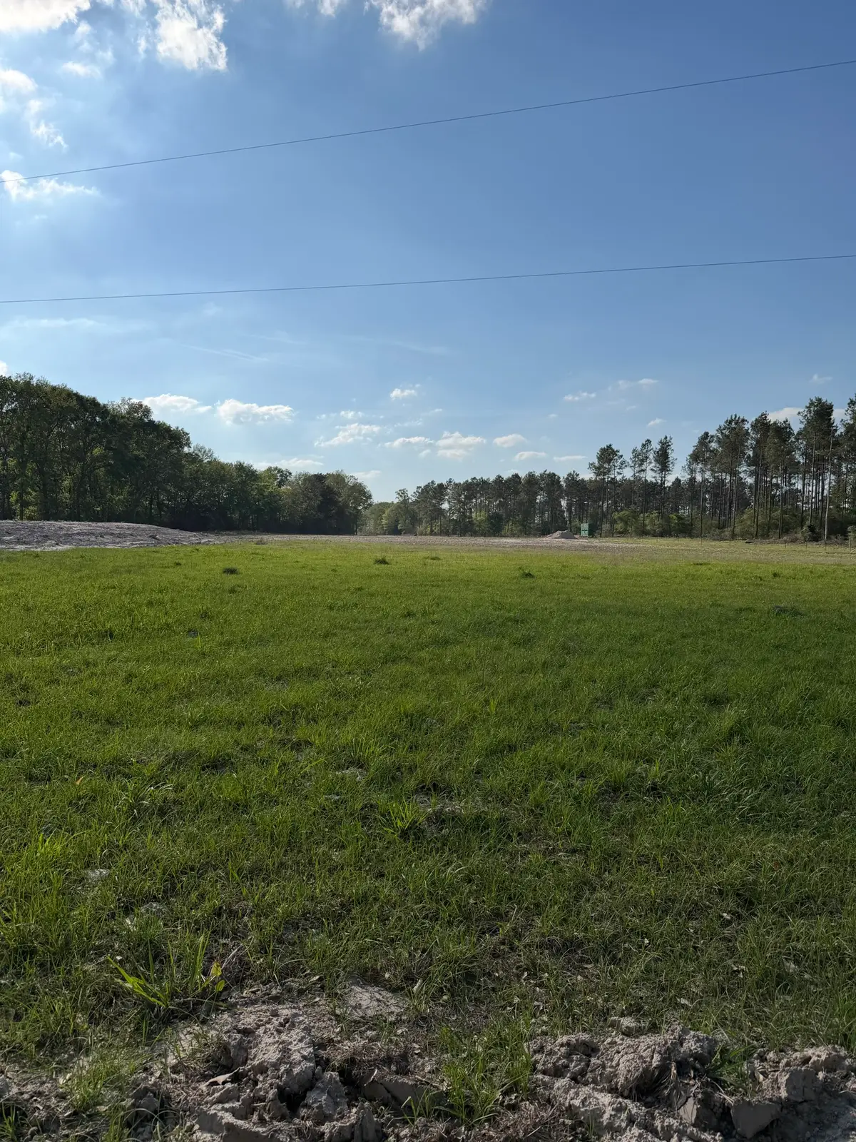 TBD N County Road 4050, Lovelady, TX 75851 - #1