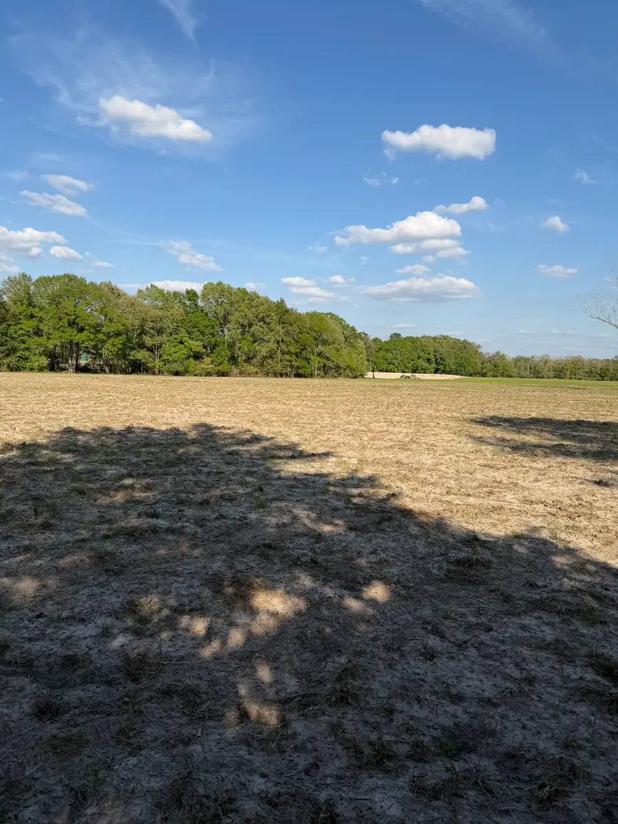 TBD N County Road 4050, Lovelady, TX 75851 - #3