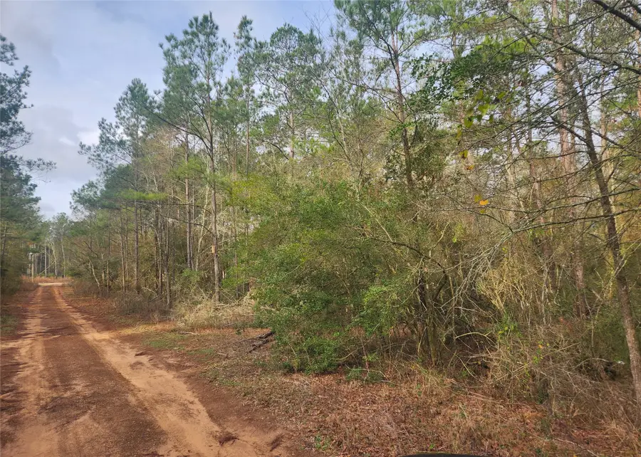 Lot 5 Pin Oak Drive, Plantersville, TX 77363 - #2