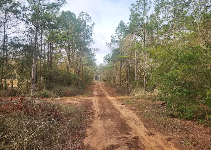Lot 5 Pin Oak Drive, Plantersville, TX 77363 - #3