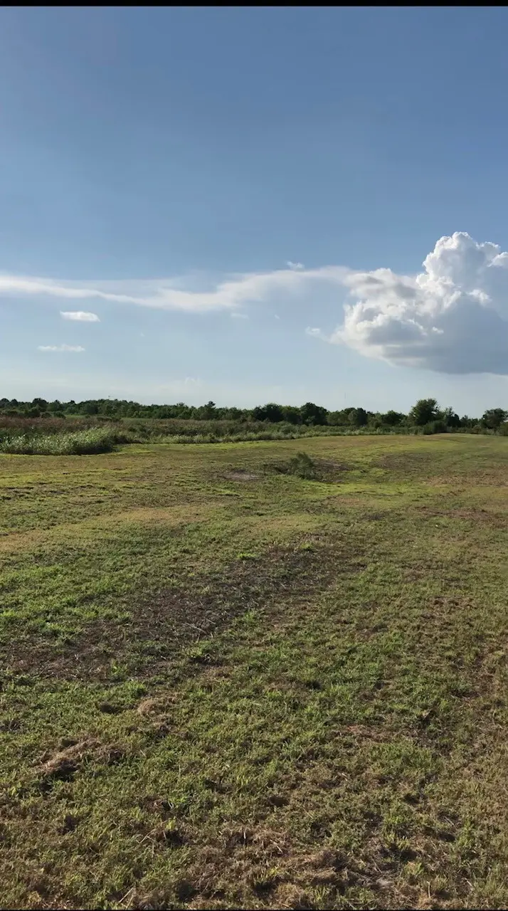 0 County Road 491s, Dayton, TX 77535 - #3