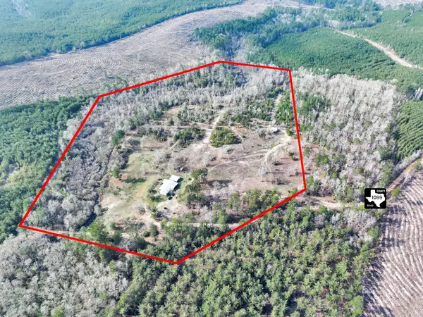 1202 County Road 1099, Wiergate, TX 75977