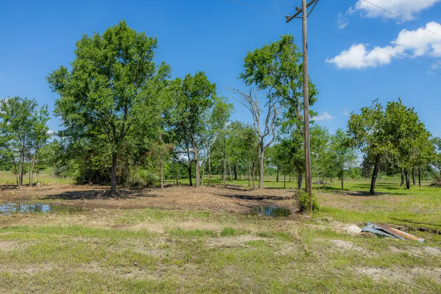 6575 Atakapan Trail, Bedias, TX 77831 - Image #3