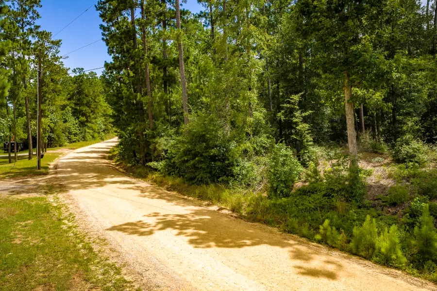 TBD Cm Hardy, Livingston, TX 77351 - #3