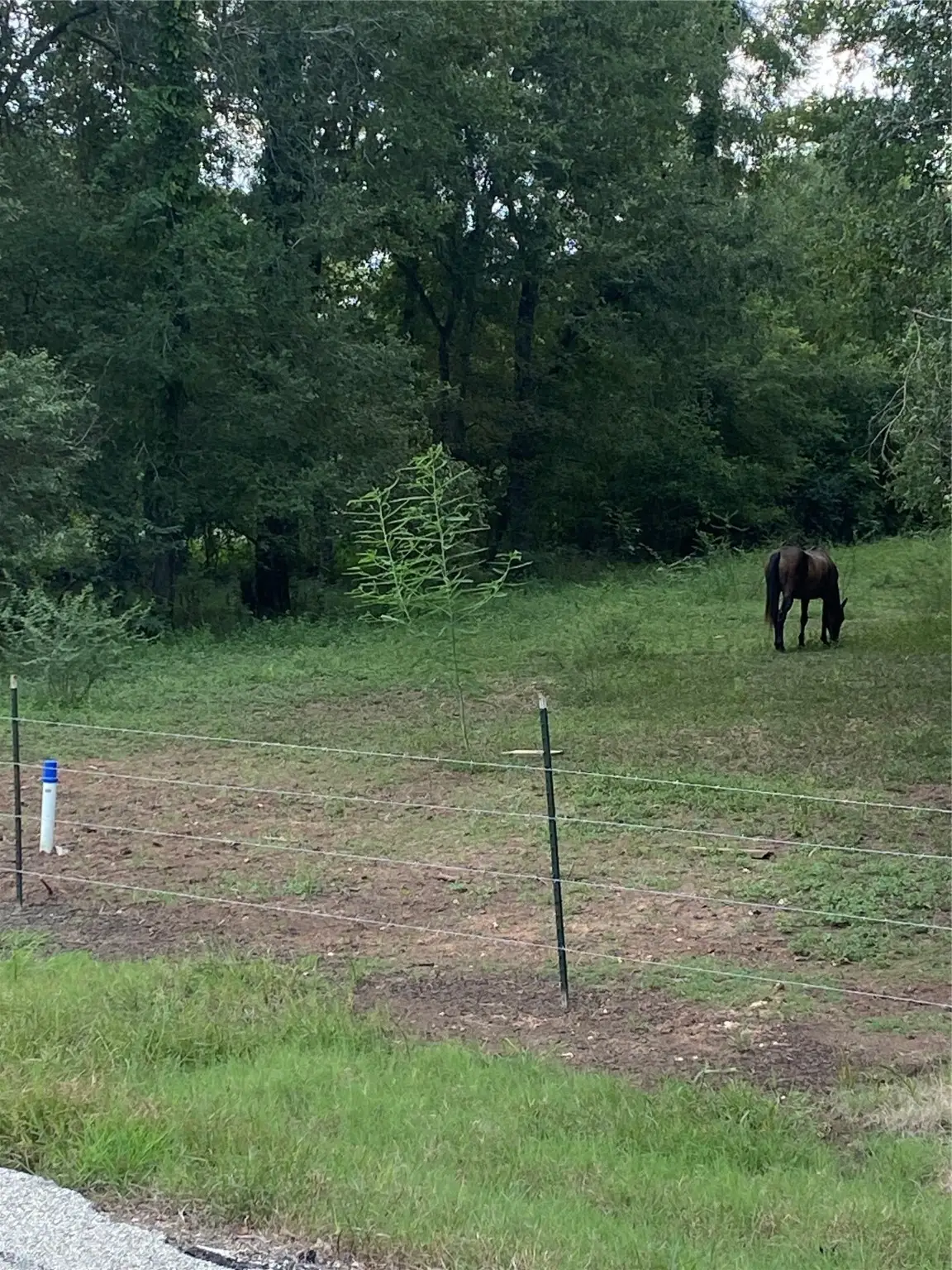 857-911 Insurance Road, Richmond, TX 77469 - #1