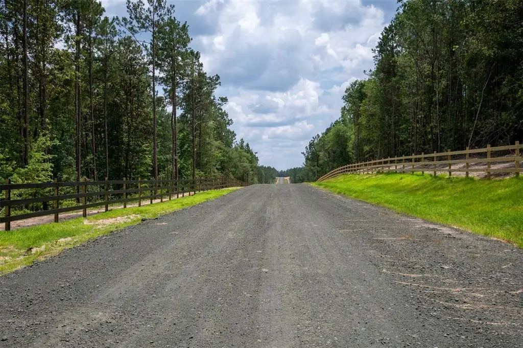 Tract 10 Timberland Branch Drive, Woodville, TX 75979 - Image #1