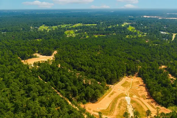 4483 Murfield Drive, Montgomery, TX 77316