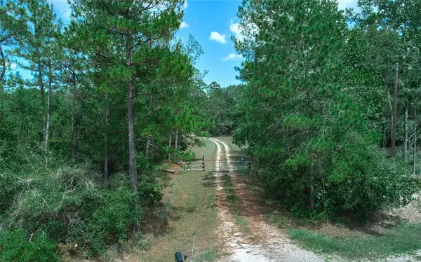 11029 Crockett Martin Road, Conroe, TX 77306